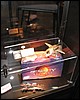 IMG_0265.JPG