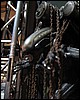 IMG_8697.JPG