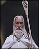 IMG_8707.JPG
