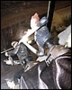 IMG_0343.JPG