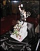 IMG_8446.JPG