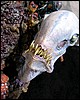 IMG_0141.JPG