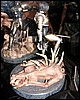 IMG_0170.JPG