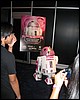 IMG_3347.JPG