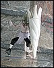 IMG_0198.JPG