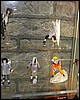 IMG_0202.JPG