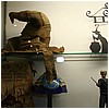 IMG_5039.JPG