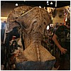IMG_6881.JPG
