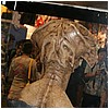 IMG_6882.JPG