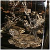 IMG_5697.JPG
