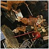 IMG_5829.JPG