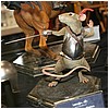 IMG_5846.JPG