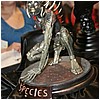 IMG_7502.JPG