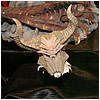 IMG_7782.JPG