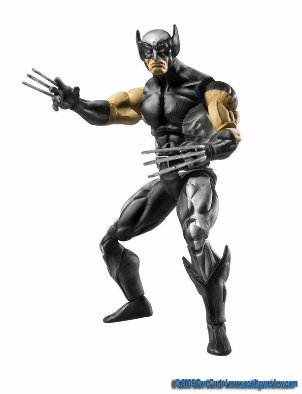 Wolverine.jpg