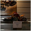 IMG_2540.JPG