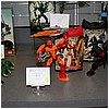 IMG_2547.JPG