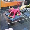 IMG_3107.JPG