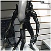 IMG_3027.JPG