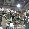 IMG_3404.JPG