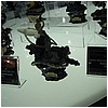 IMG_3448.JPG