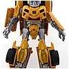 Activators Bumblebee1.jpg