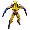 Wolverine.jpg
