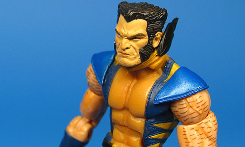 Wolverine