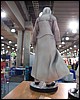 IMG_8203.JPG