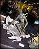 IMG_8396.JPG