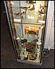 IMG_7067.JPG