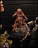 IMG_4599.JPG