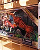 IMG_5126.JPG
