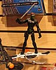 IMG_5268.JPG
