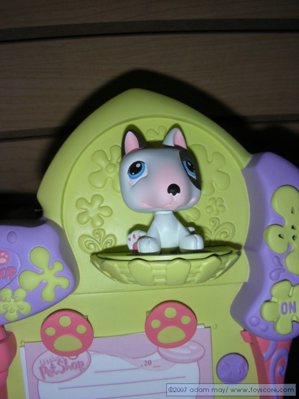 DSCN0606.jpg