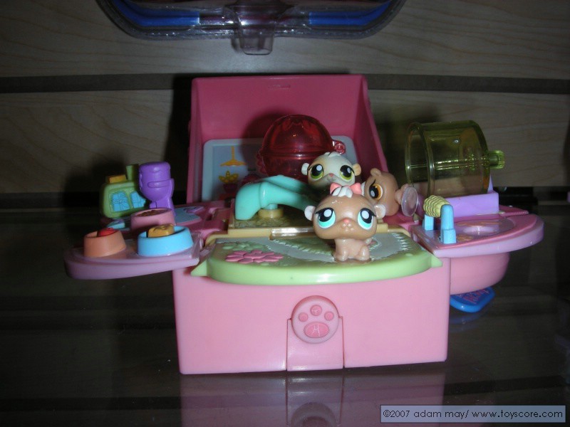DSCN0610.jpg