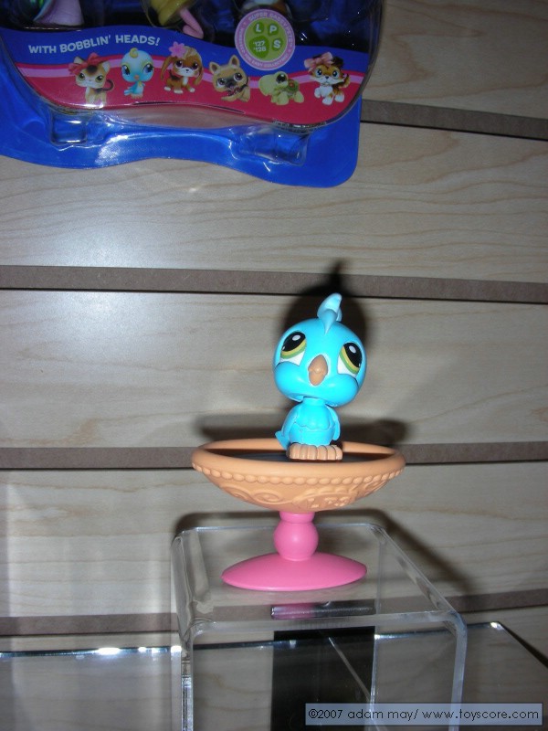 DSCN0614.jpg