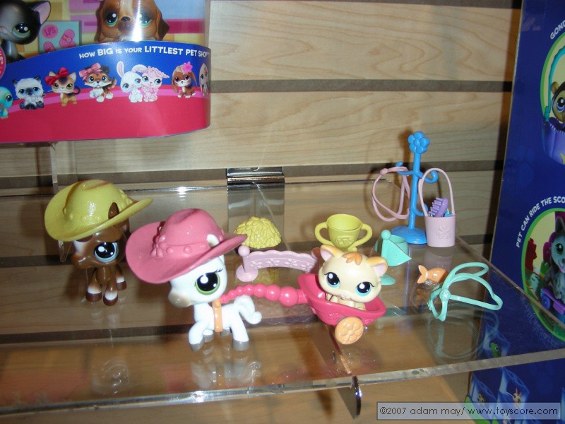 DSCN0620.jpg