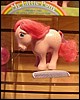 DSCN0639.jpg