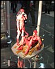 IMG_7278.JPG