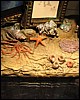 IMG_7264.JPG