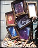 IMG_7272.JPG