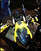 IMG_6718.JPG