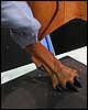 IMG_6660.JPG