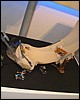 IMG_6378.JPG