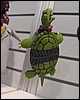 IMG_6262.JPG