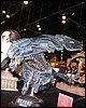 IMG_7715.JPG