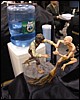 IMG_7717.JPG