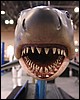IMG_5485.JPG
