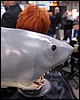 IMG_5487.JPG